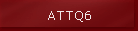 ATTQ6